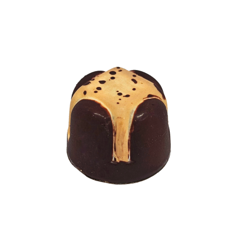 Caramel Filled Chocolate
